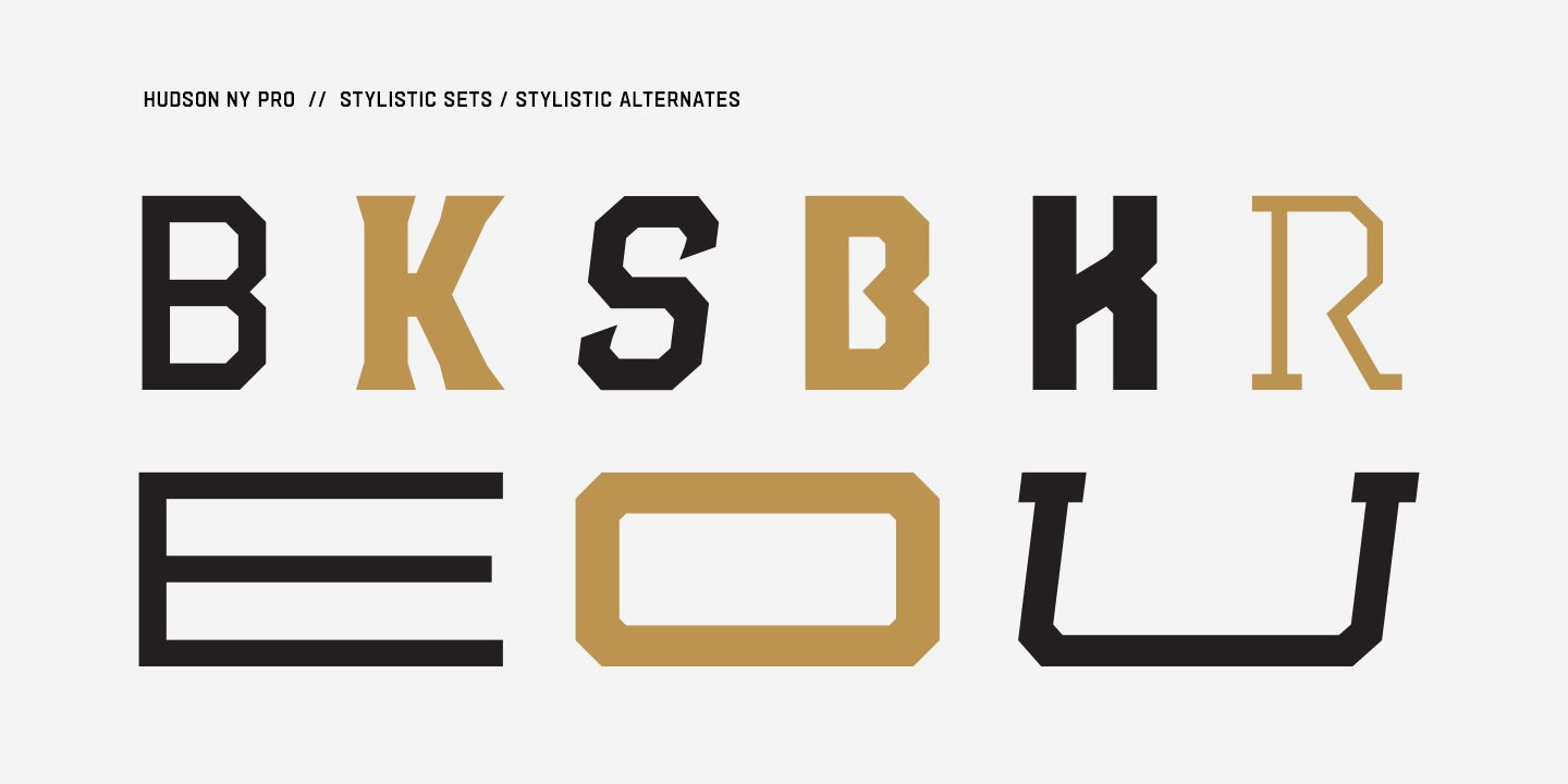 Hudson NY Pro Serif Bold Italic Font preview